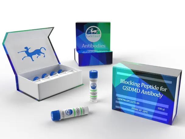 Ribosomal protein L3 peptide (202-222) amide - 25mg