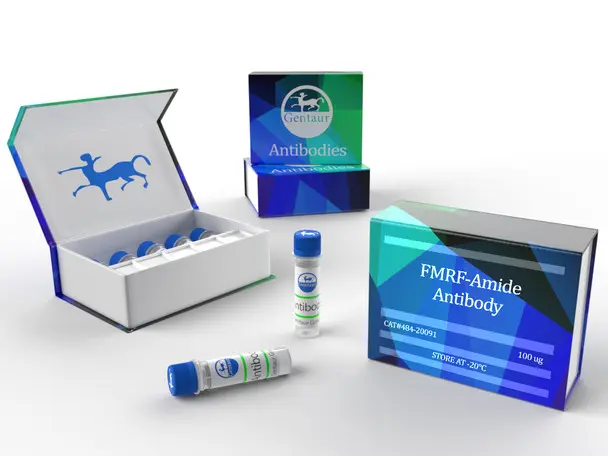 3-aminobenzamide - 10mM (in 1 mL DMSO)